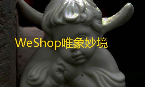 暗区突围护航接单平台WeShop唯象妙境